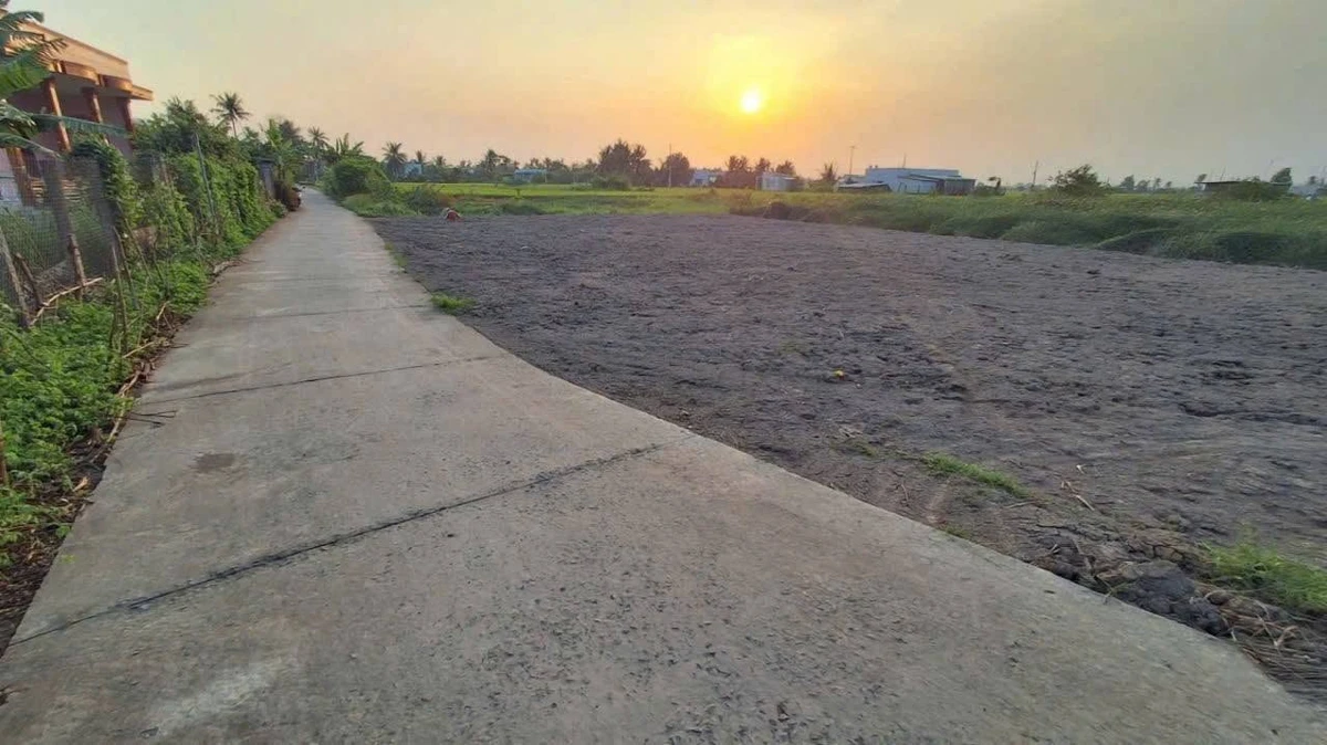 Bán đất thổ cư 98m² đường Nguyễn Văn Vịnh, xã Tân Trụ, Tây Ninh giá 330 triệu - Ảnh thu nhỏ 2