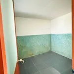 Bán nhà cấp bốn 205m2 Phước An 820 triệu - Ảnh thu nhỏ 3
