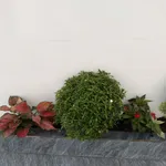 Bán nhà 1 trệt 1 lầu 143.7m² 3 PN An Ngãi, Long Điền - Ảnh thu nhỏ 5