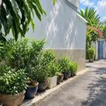 Bán nhà 100m² Nguyễn Văn Đậu, Bình Thạnh, 7,5 tỷ - Ảnh thu nhỏ 5