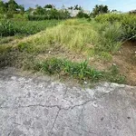 Bán đất xã Bình An 150m2, giá 400 triệu - Ảnh thu nhỏ 2