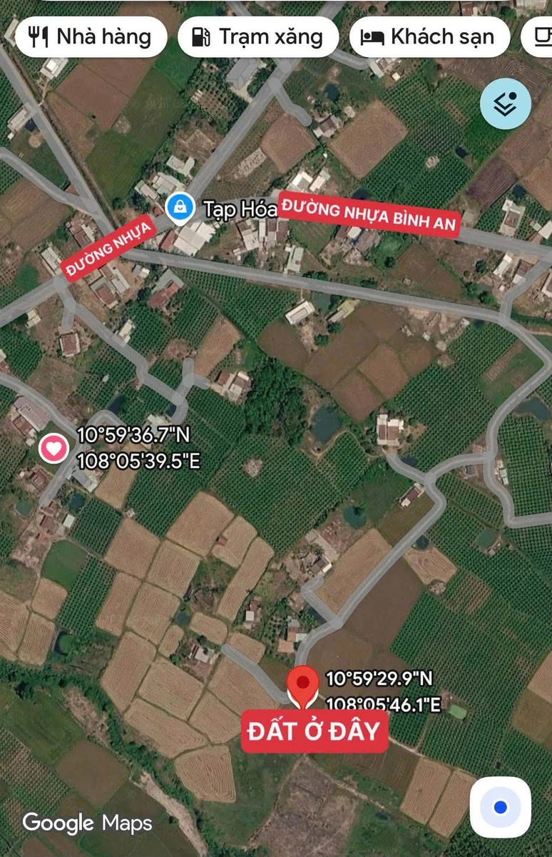 Bán đất nông nghiệp quy hoạch CLN 1322m2 giá 200 triệu Phan Thiết - Ảnh thu nhỏ 2