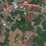 Bán đất nông nghiệp quy hoạch CLN 1322m2 giá 200 triệu Phan Thiết - Ảnh thu nhỏ 2