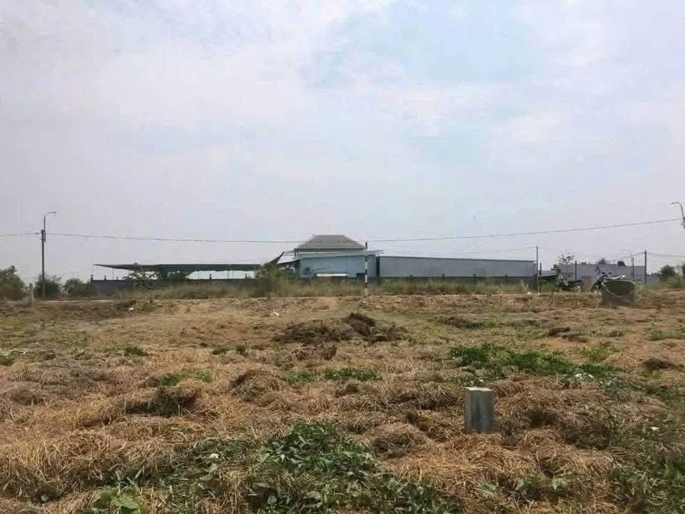 Bán 7 lô đất Phước Đông Cần Dước Long An từ 120m2 - Ảnh thu nhỏ 4