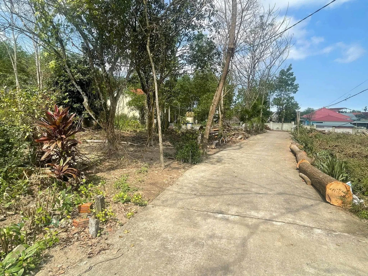 Bán đất 163,5m2 Phường Phong Điền, TP Huế, giá 490 triệu - Ảnh thu nhỏ 3