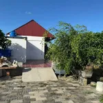 Bán nhà vườn 1300m² Xã Hàm Liêm 800 triệu - Ảnh thu nhỏ 4