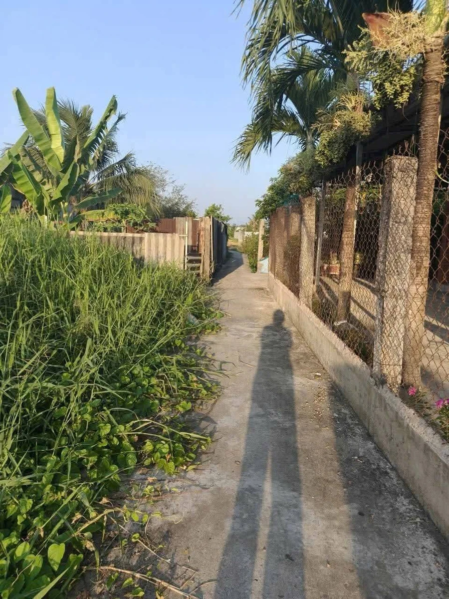 Bán lô đất 198,5m2 thổ cư giá 299 triệu tại Nhựt Chánh, Bến Lức, Long An - Ảnh thu nhỏ 2