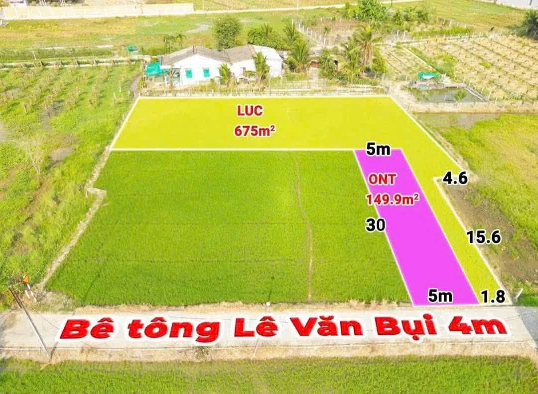 Bán đất 725,3m² có 150m² thổ cư mặt tiền đường Lê Văn Bụi, xã Vàm Cỏ, Tây Ninh - Ảnh thu nhỏ 3