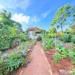 Bán nhà vườn 420m² hẻm 451 Ymoal Nhà Bè 2 tỷ 5 - Ảnh thu nhỏ 3
