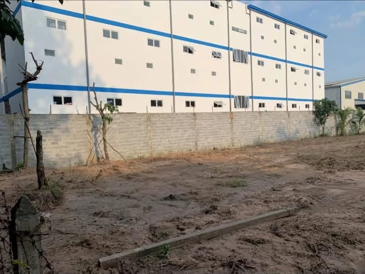 Bán lô đất vườn 4000m2 (1200m2 thổ cư) An Điền, Bình Chánh 22 tỷ - Ảnh thu nhỏ 5