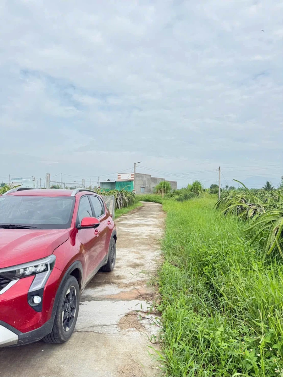 Bán 850m² đất cây trồng Hàm Liêm, Bình Thuận - Ảnh thu nhỏ 2