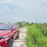 Bán 850m² đất cây trồng Hàm Liêm, Bình Thuận - Ảnh thu nhỏ 2