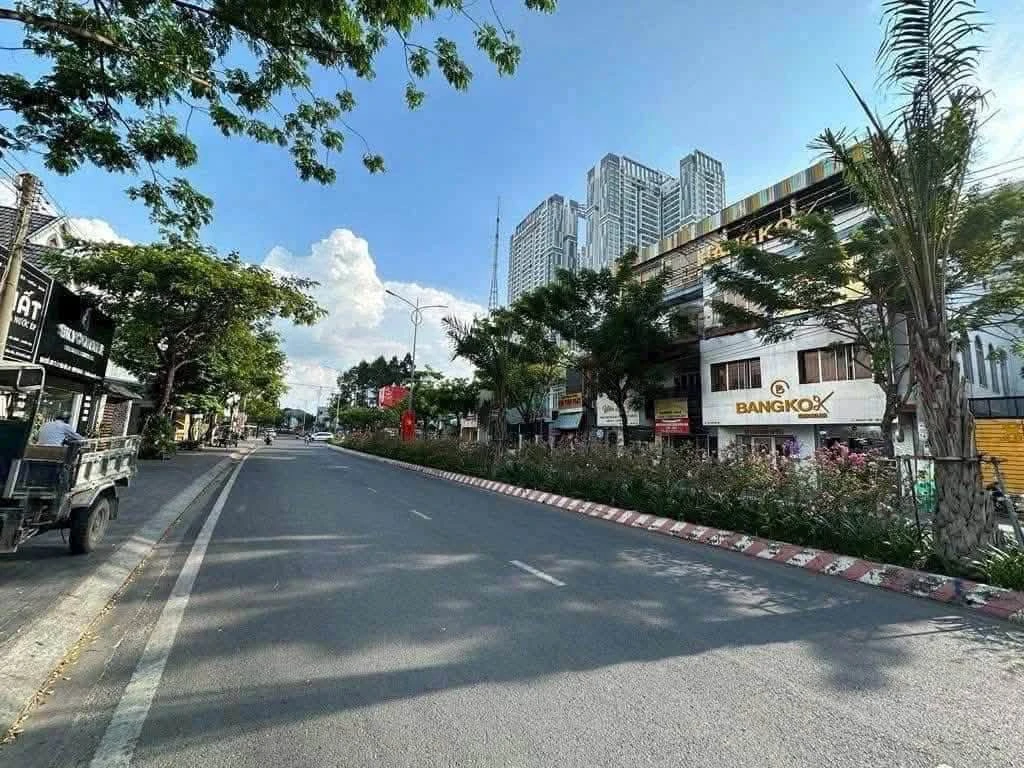 Bán gấp đất mặt tiền Trần Văn Ơn 100m² Phú Hòa Bình Dương - Ảnh 1