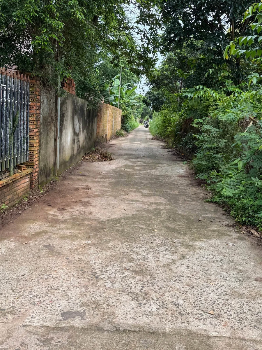 Bán đất Xuân Thọ 220m² full thổ 580 triệu - Ảnh thu nhỏ 2
