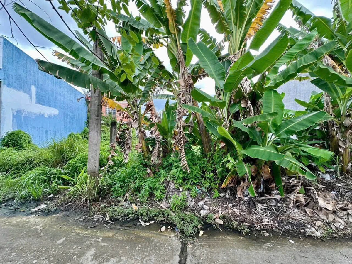 Bán lô đất thổ cư 130m² Tân An, Long An, 800 triệu - Ảnh thu nhỏ 2