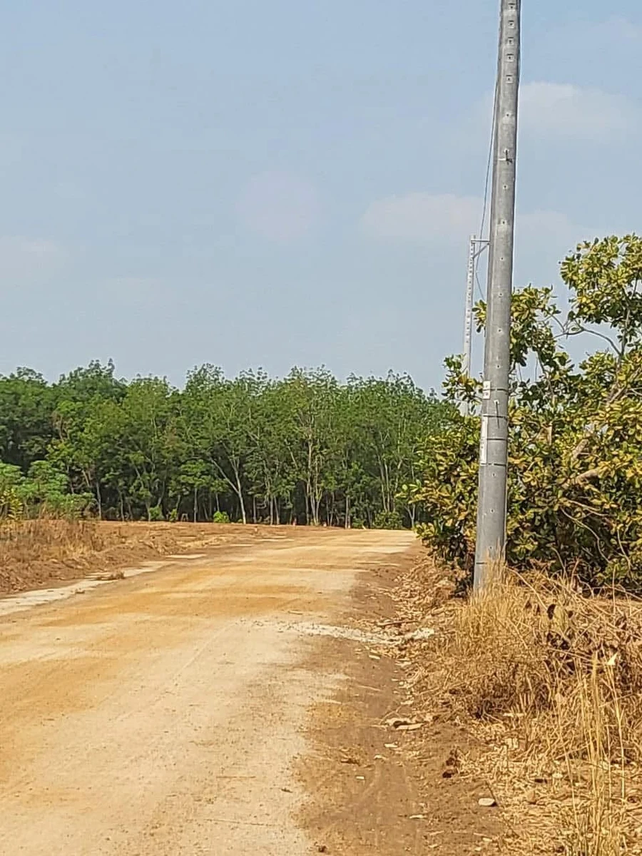 Bán đất Đồng Phú 1000m2, 700 triệu - Ảnh thu nhỏ 2