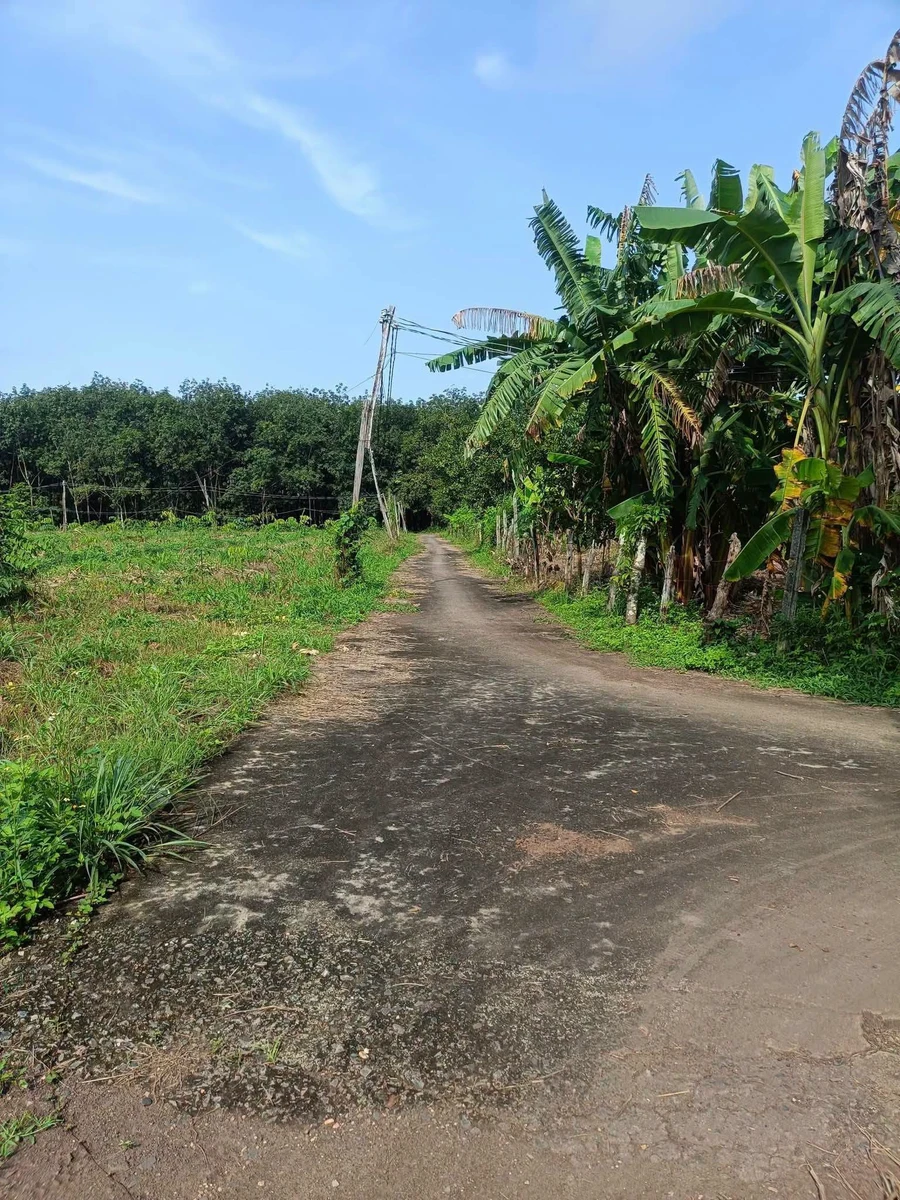 Bán đất 5700m2 tại xã Thanh Hoà, Bù Đốp, Bình Phước - Ảnh thu nhỏ 3