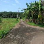 Bán đất 5700m2 tại xã Thanh Hoà, Bù Đốp, Bình Phước - Ảnh thu nhỏ 3