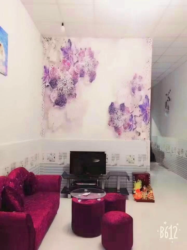 Bán nhà 2PN, 60m² tại Phường Tân Thiện, Đồng Xoài, 750 triệu - Ảnh 1