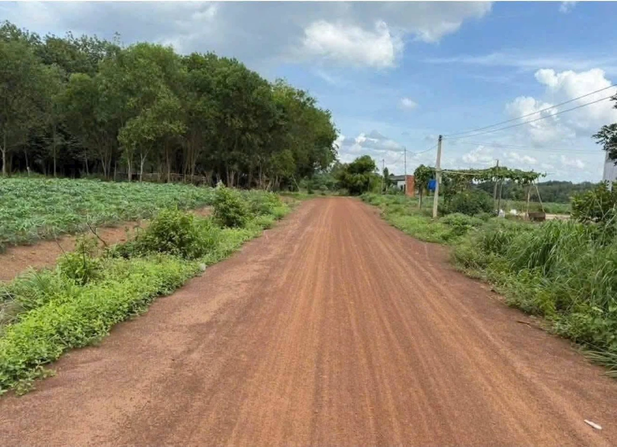 Bán lô đất 5x100m An Phú, Xã Nhuận Đức 180 triệu - Ảnh thu nhỏ 2