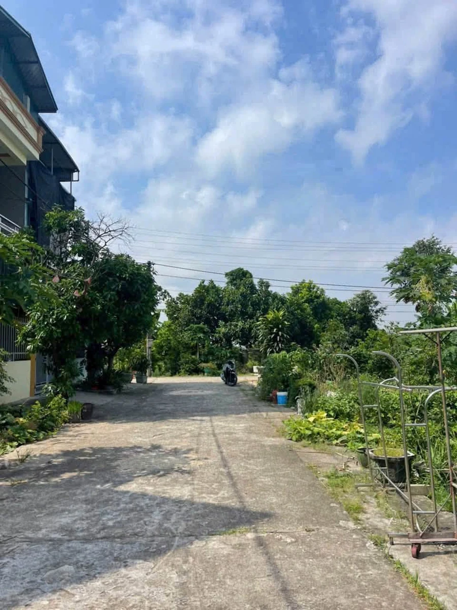 Bán lô đất Xã Mao Điền, Hải Phòng, 96m2, mặt tiền 6m - Ảnh thu nhỏ 3