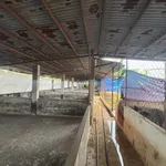 Bán đất vườn trái cây 8061m2 Dầu Giây Đồng Nai 4 tỷ 4 - Ảnh thu nhỏ 2