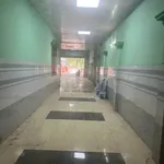 Cho thuê nhà 9x30m Trần Đại Nghĩa gần vòng xoay An Lạc, Bình Tân, 13 triệu/tháng - Ảnh thu nhỏ 3