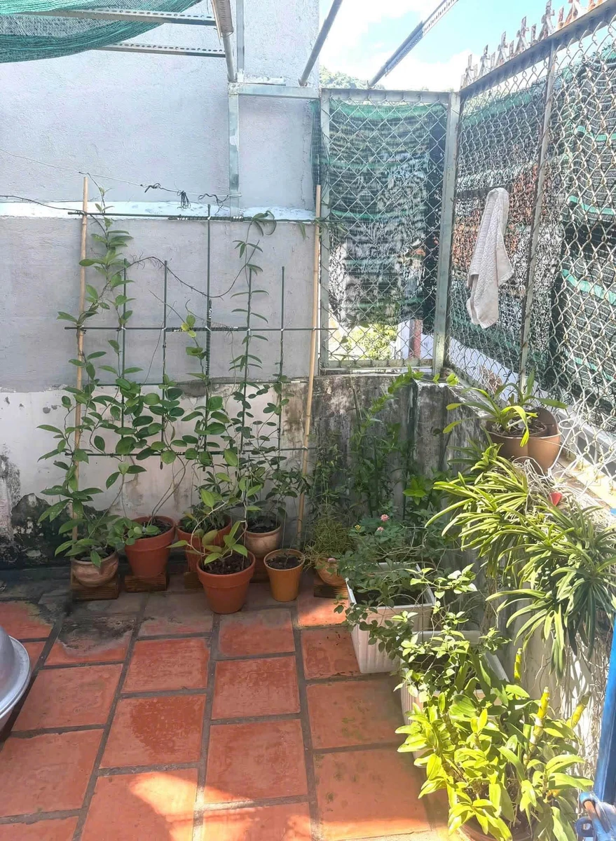Bán nhà hẻm ô tô 3PN Nguyễn Trường Tộ Vũng Tàu 52m² 5tỷ490tr - Ảnh thu nhỏ 2