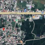 Bán đất Diên An 119m², ngang 6m, gần đường 23/10 - Ảnh thu nhỏ 5