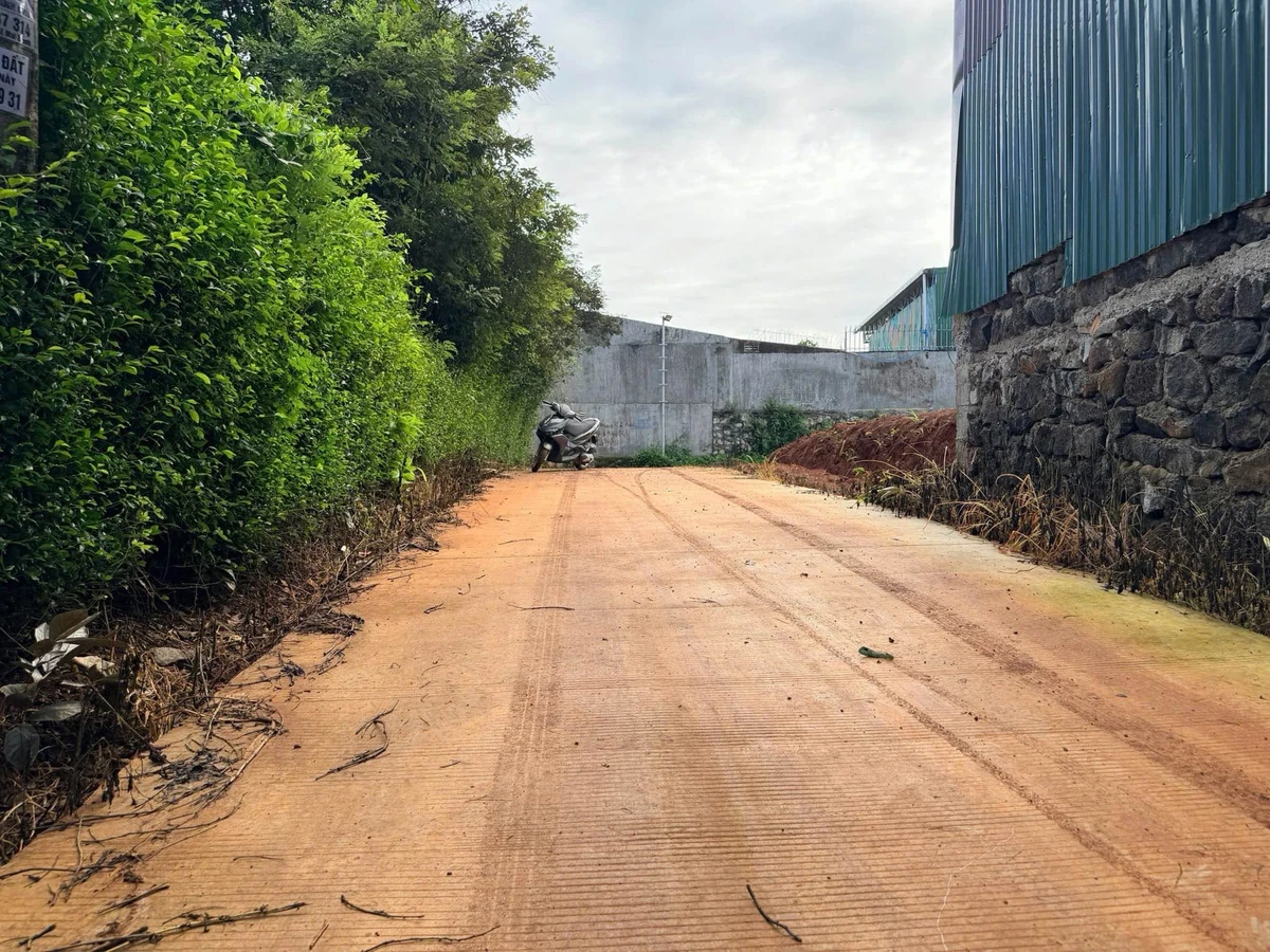 Bán đất hẻm Vành Đai 5x18m phường Ea Tam, giá 379 triệu - Ảnh thu nhỏ 3
