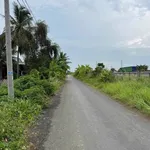 Bán đất 3.911,5m² cạnh cao tốc TP.HCM-Trung Lương, Tây Ninh - Ảnh thu nhỏ 4