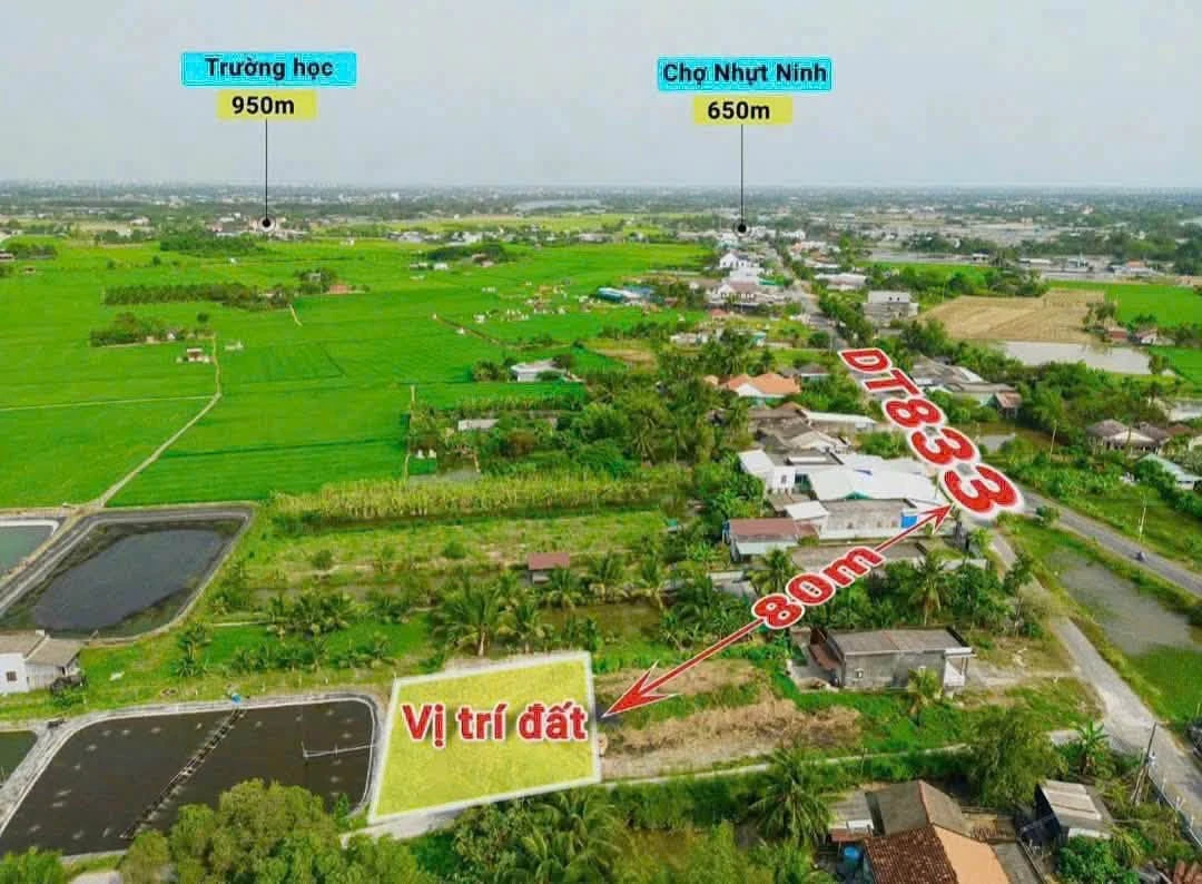 Bán đất thổ cư mặt tiền Đỗ Văn Đảnh 397,5m² Bình Chánh - Ảnh thu nhỏ 4