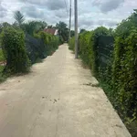 Bán 1,4 mẫu đất ao tôm Xã Thạnh Trị, Vĩnh Long - Ảnh thu nhỏ 3