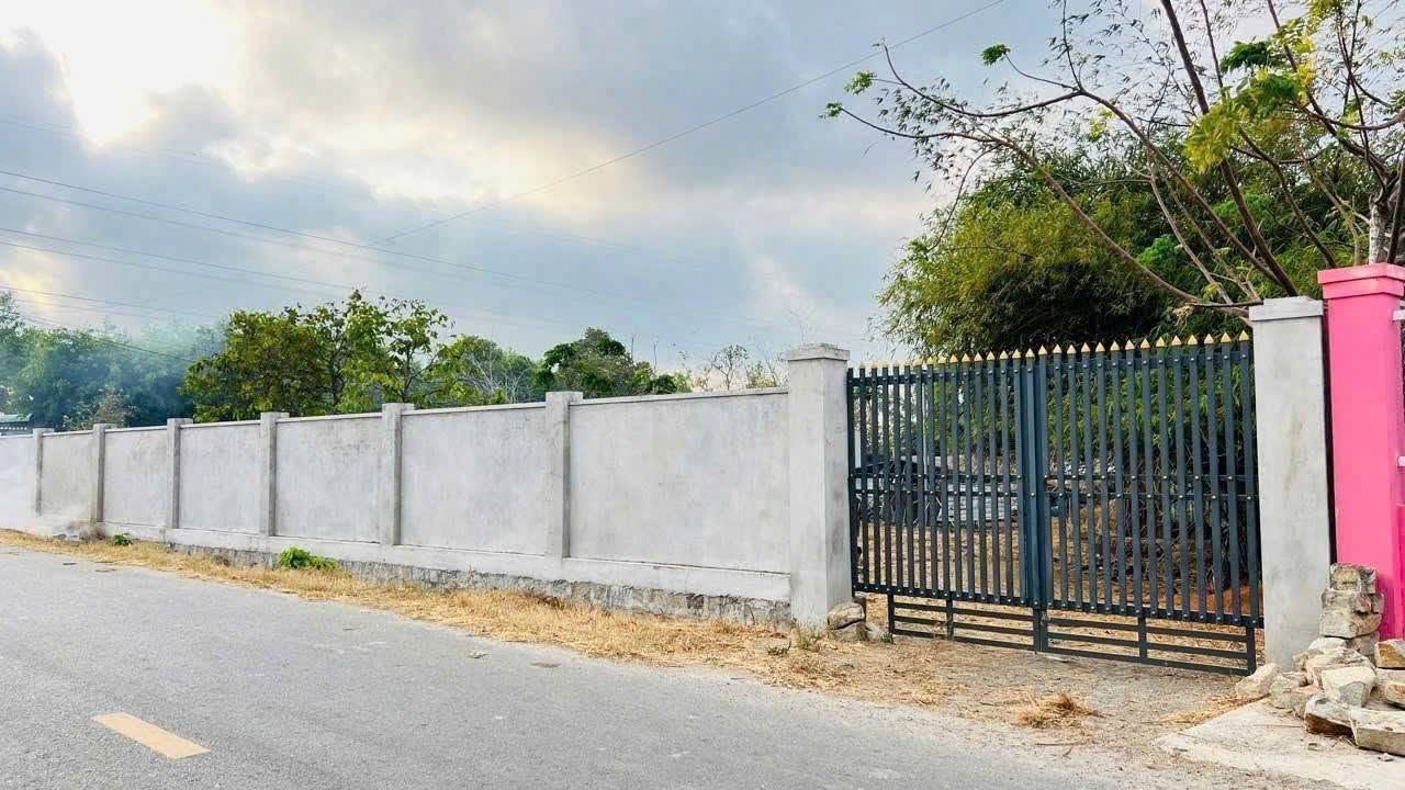 Bán đất 753m2 Phước Hội Bà Rịa – Vũng Tàu 3,7 tỷ