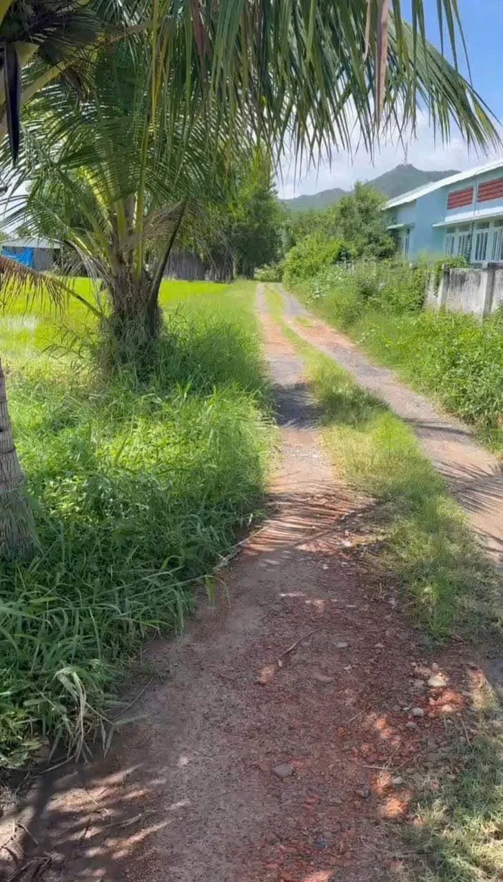 Bán 500m đất cây trồng Hồng Sơn, Lâm Đồng 135 triệu - Ảnh 1