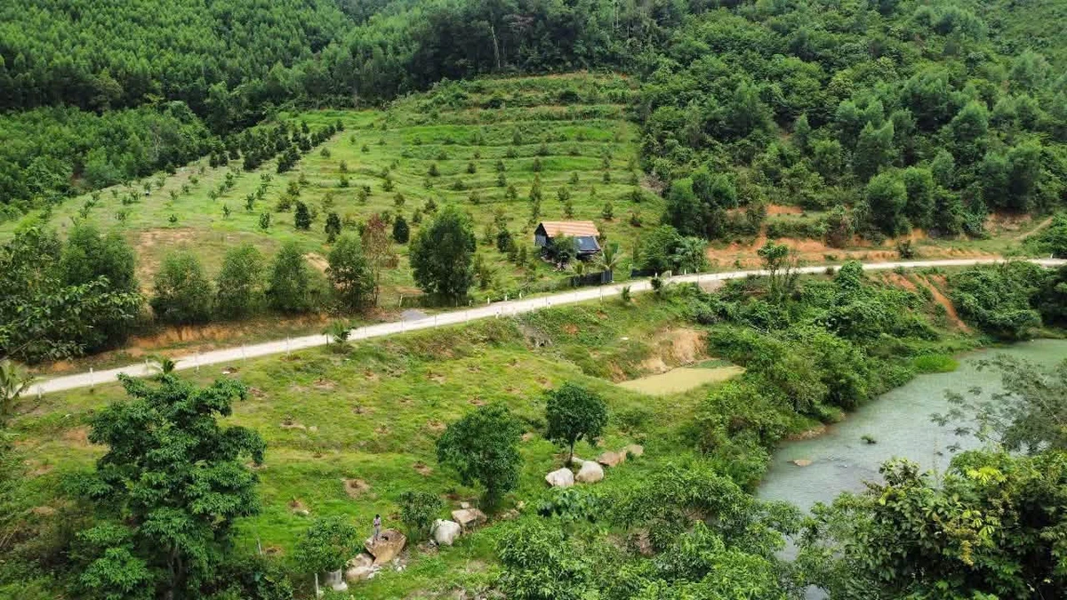Bán đất làm nhà vườn 1500m² ven suối Nha Trang 799 triệu - Ảnh thu nhỏ 4