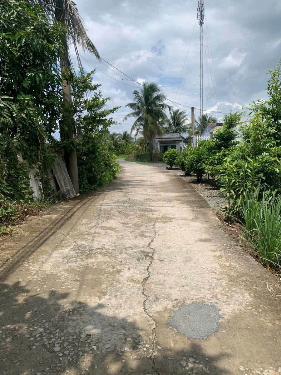 Bán đất ở đô thị 5x36m mặt tiền đường đan, khu phố Thọ Phú, Phường Long An - Ảnh 1