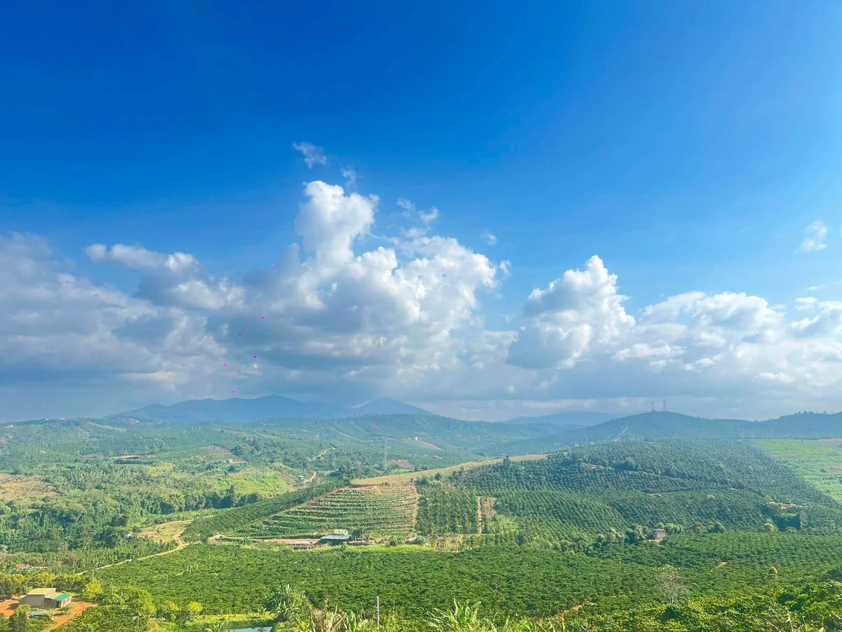 Bán lô đất gần 500m2 có thổ cư tại Tân Thượng, Di Linh, Lâm Đồng giá 350 triệu - Ảnh thu nhỏ 4