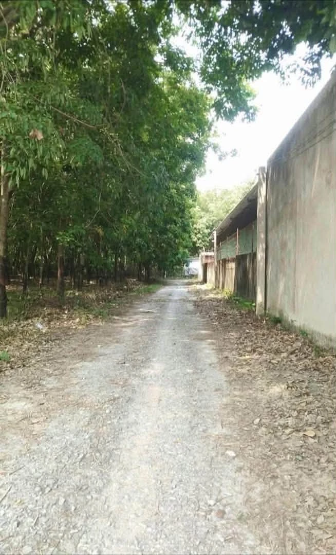 Bán lô đất 125m² tại Phường Long Nguyên, Bình Chánh, giá 8xx triệu - Ảnh thu nhỏ 2