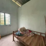 Bán đất 427m² tặng nhà 2PN tại xã Phú Hưng, Bến Tre - Ảnh thu nhỏ 4
