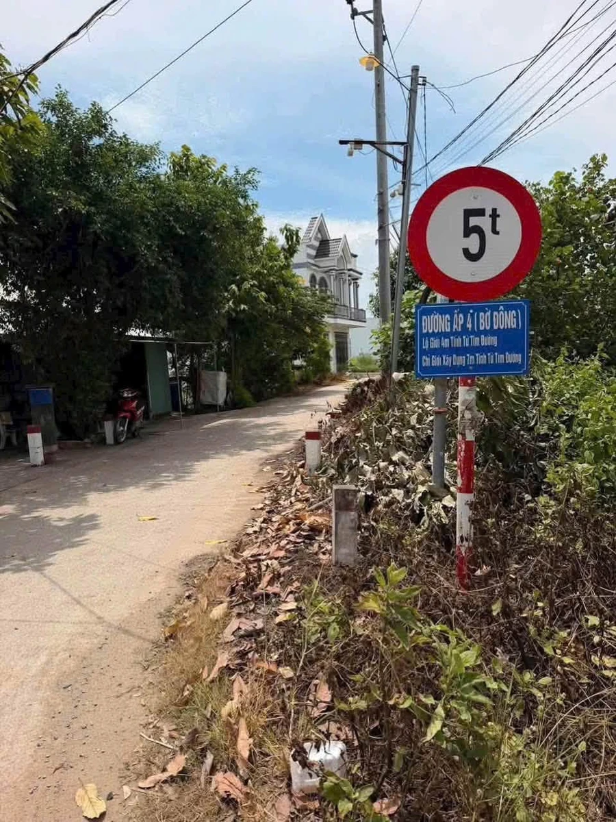 Bán nền thổ cư 177m² mặt tiền Tân Bửu, Long An - Ảnh thu nhỏ 5