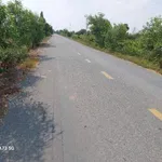 Bán gấp 400m2 đất thổ cư mặt tiền Tỉnh lộ 830, Hòa Khánh Nam, Đức Hòa, Long An - Ảnh thu nhỏ 2