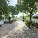 Nhà cấp 4 mái Thái sân vườn 285m² Tây Ninh 2,75 tỷ - Ảnh thu nhỏ 4