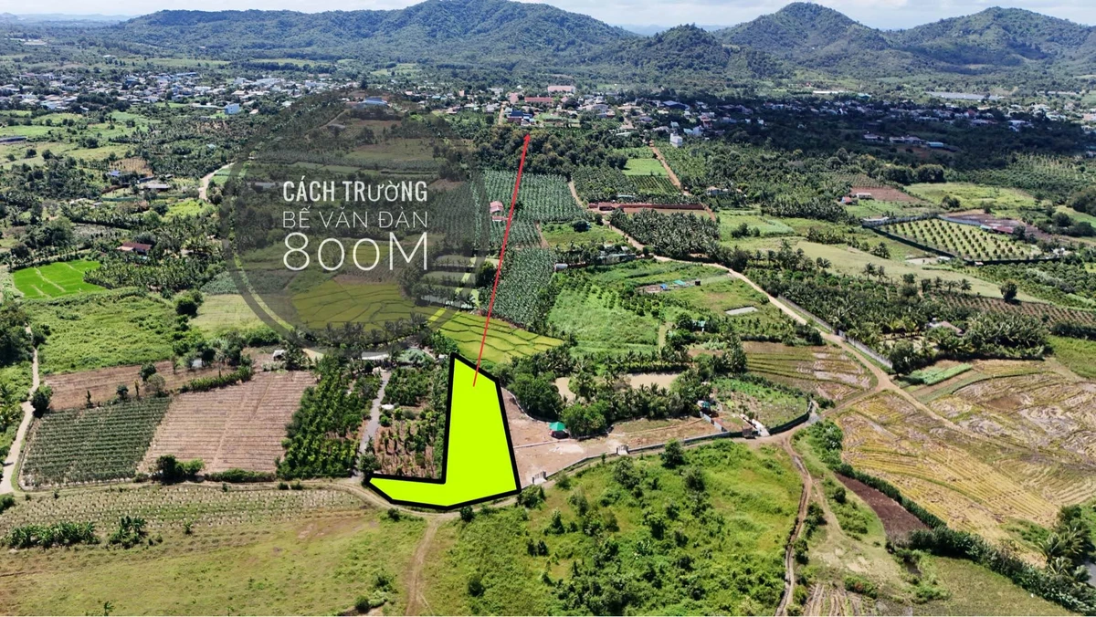 Bán 2,5 sào đất view Bến Mỹ Thuận, 1 tỷ 90 triệu - Ảnh 1