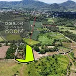 Bán 2,5 sào đất view Bến Mỹ Thuận, 1 tỷ 90 triệu - Ảnh thu nhỏ 1
