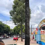 Bán lô đất hẻm Y Ngông 94.5m² 2 tỷ 650 Tân Tiến - Ảnh thu nhỏ 1