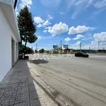Cho thuê mặt bằng 200m2 mặt tiền Nguyễn Trung Trực, Rạch Giá - Ảnh thu nhỏ 2