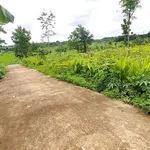 Bán lô đất 5x25 hẻm cấp 1 Phan Huy Chú, Hoà Xuân, Đà Nẵng giá 525 triệu/lô - Ảnh thu nhỏ 1