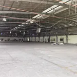 Cho thuê kho xưởng 3.000m² Bến Cát, 220 triệu/tháng - Ảnh thu nhỏ 3