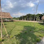 Bán đất nền Tân Triều 80m² giá 1 tỷ 290 triệu - Ảnh thu nhỏ 4